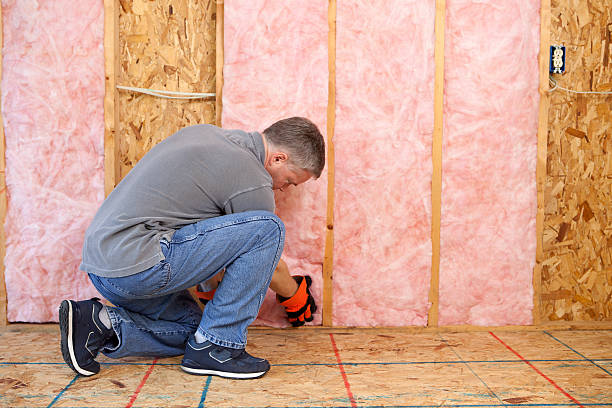 Best Insulation for New Construction  in Cordova, AK